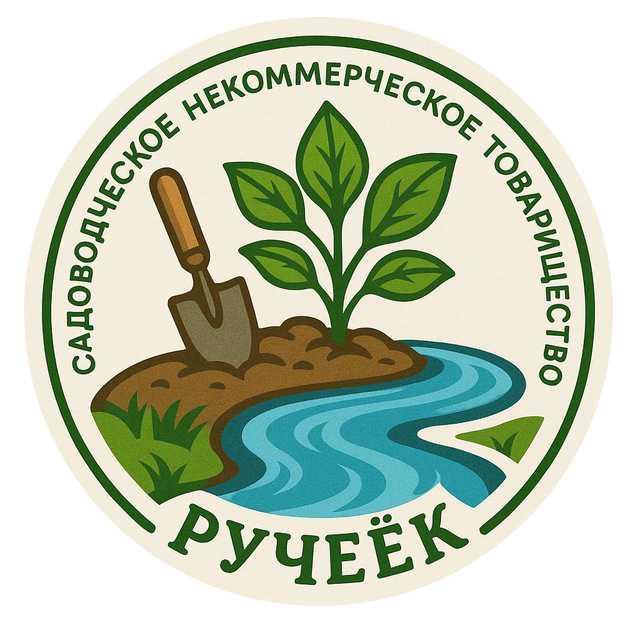 «ТЕСТ»